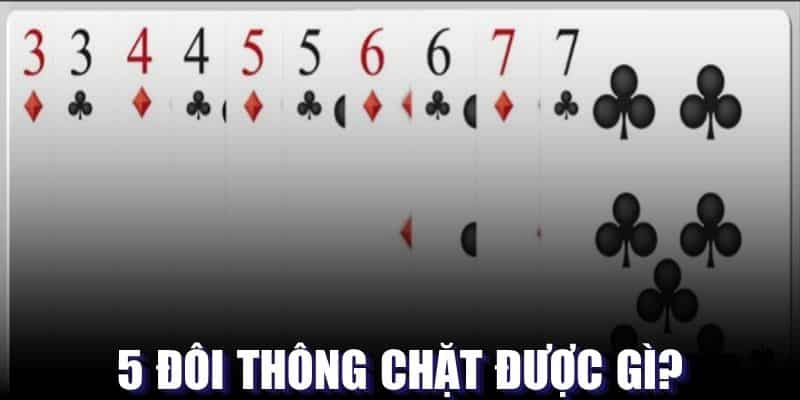 Bạn có biết 5 đôi thông là gì không? Cùng tìm hiểu ngay!