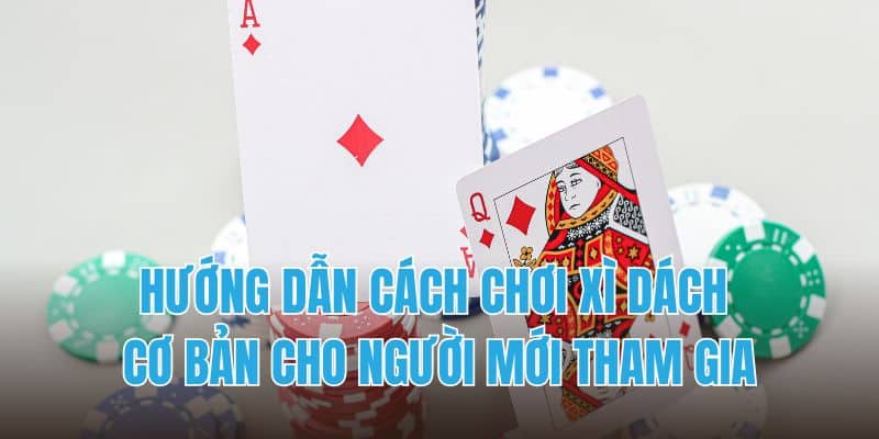 Hướng dẫn cách chơi xì dách cơ bản cho người mới tham gia