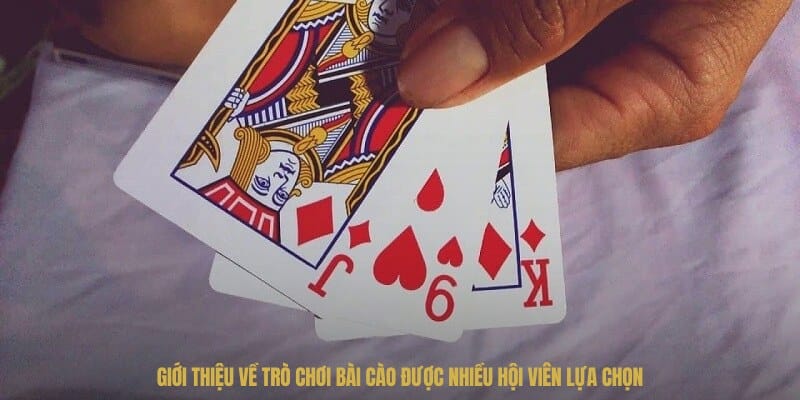 Giới thiệu về trò chơi bài cào được nhiều hội viên lựa chọn