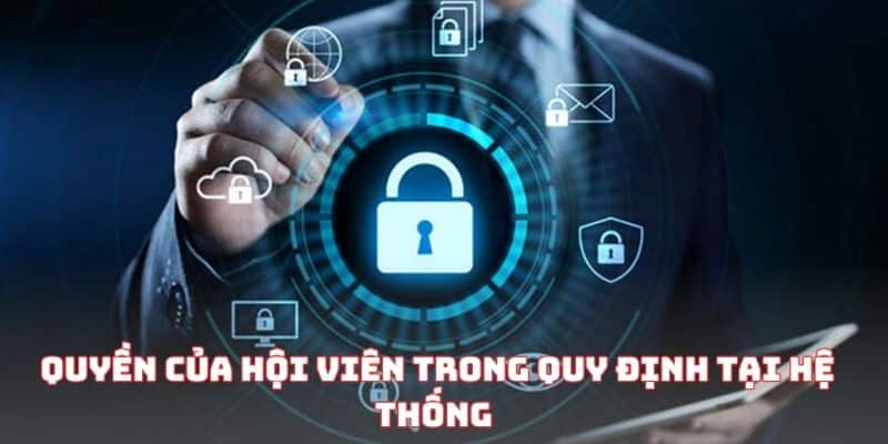 Quyền của hội viên trong quy định tại hệ thống