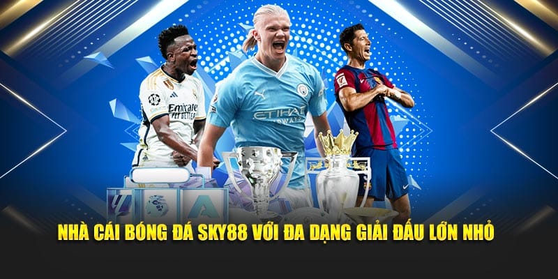 Nhà cái bóng đá Sky88 với đa dạng giải đấu lớn nhỏ