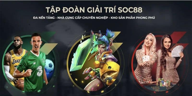 Đa dạng các loại dịch vụ cho bạn lựa chọn thỏa thích
