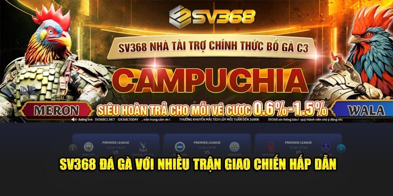 SV368 đá gà với nhiều trận giao chiến hấp dẫn