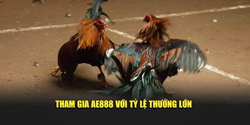 Tham gia AE888 với tỷ lệ thưởng lớn