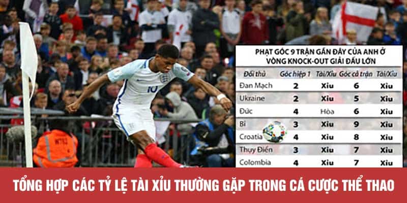 Tổng hợp các tỷ lệ tài xỉu thường gặp trong cá cược thể thao